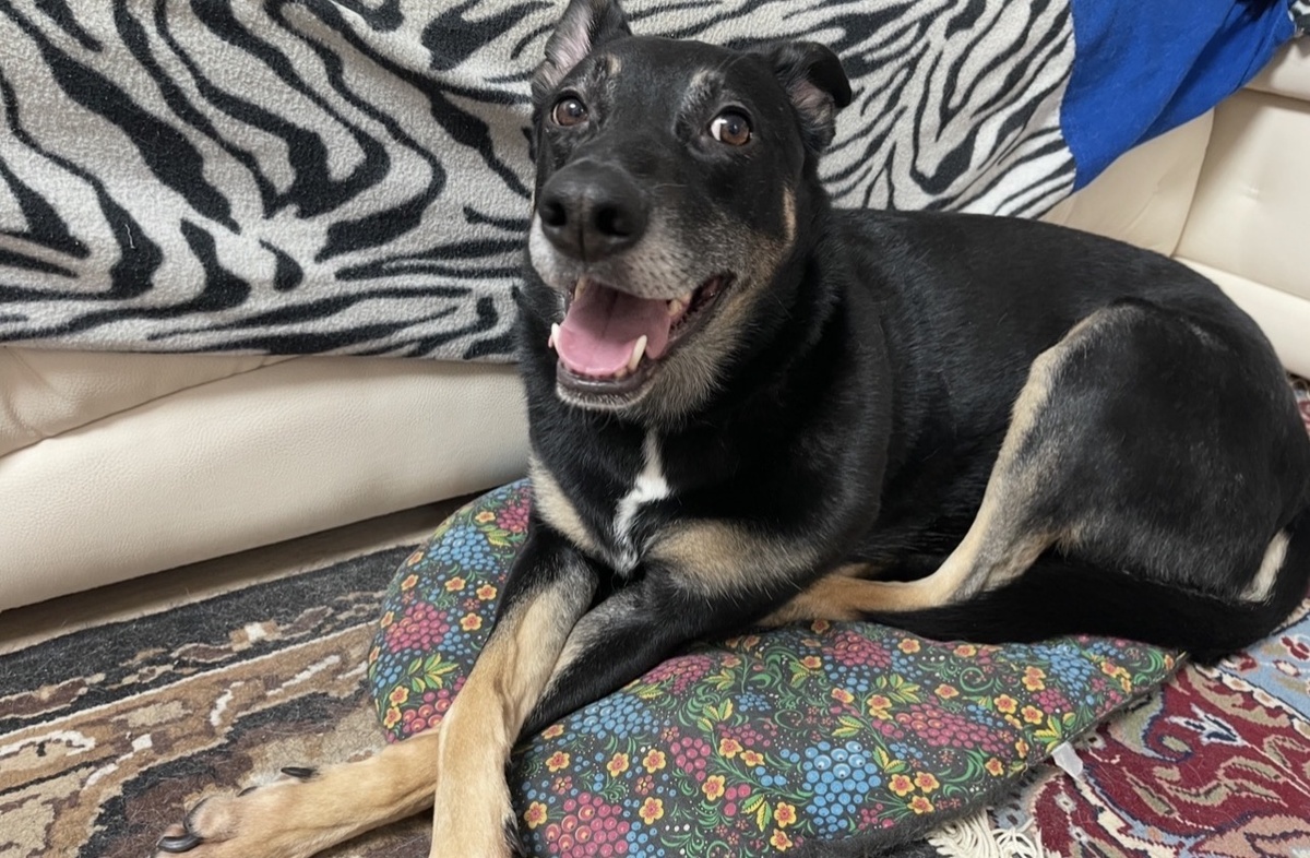 И это было классно 😊!