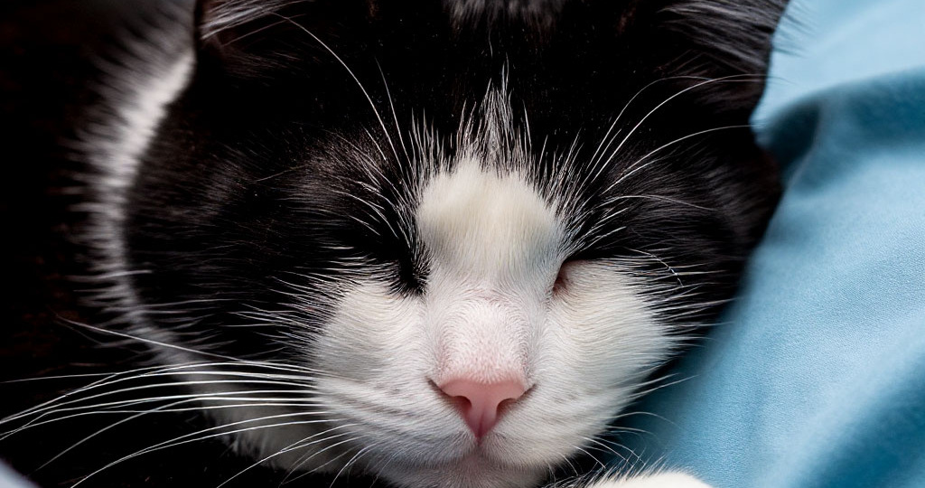 О тех, кто...