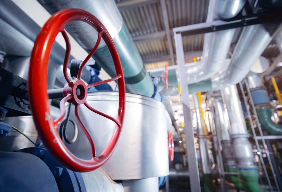    Shutterstock/FOTODOM