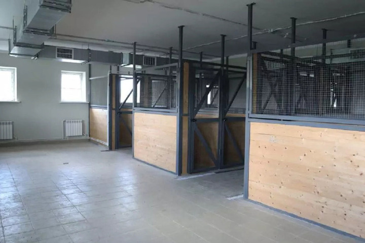 В Воронеже определили подрядчика для обустройства вольеров в приюте для животных