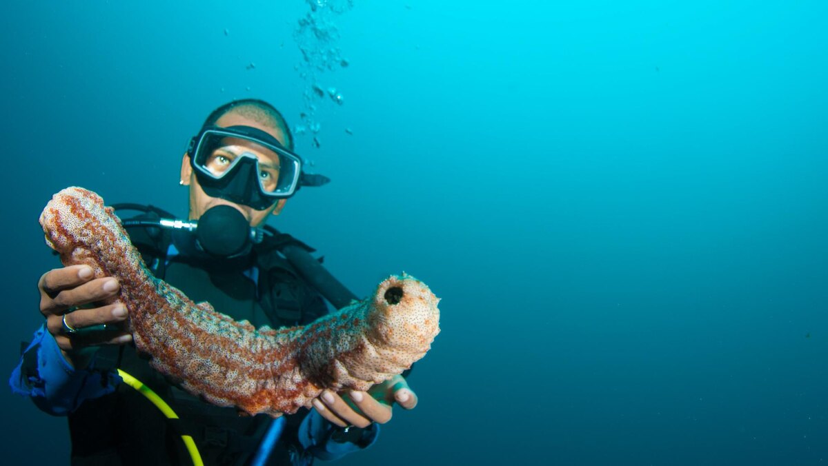 Источник: uit.no