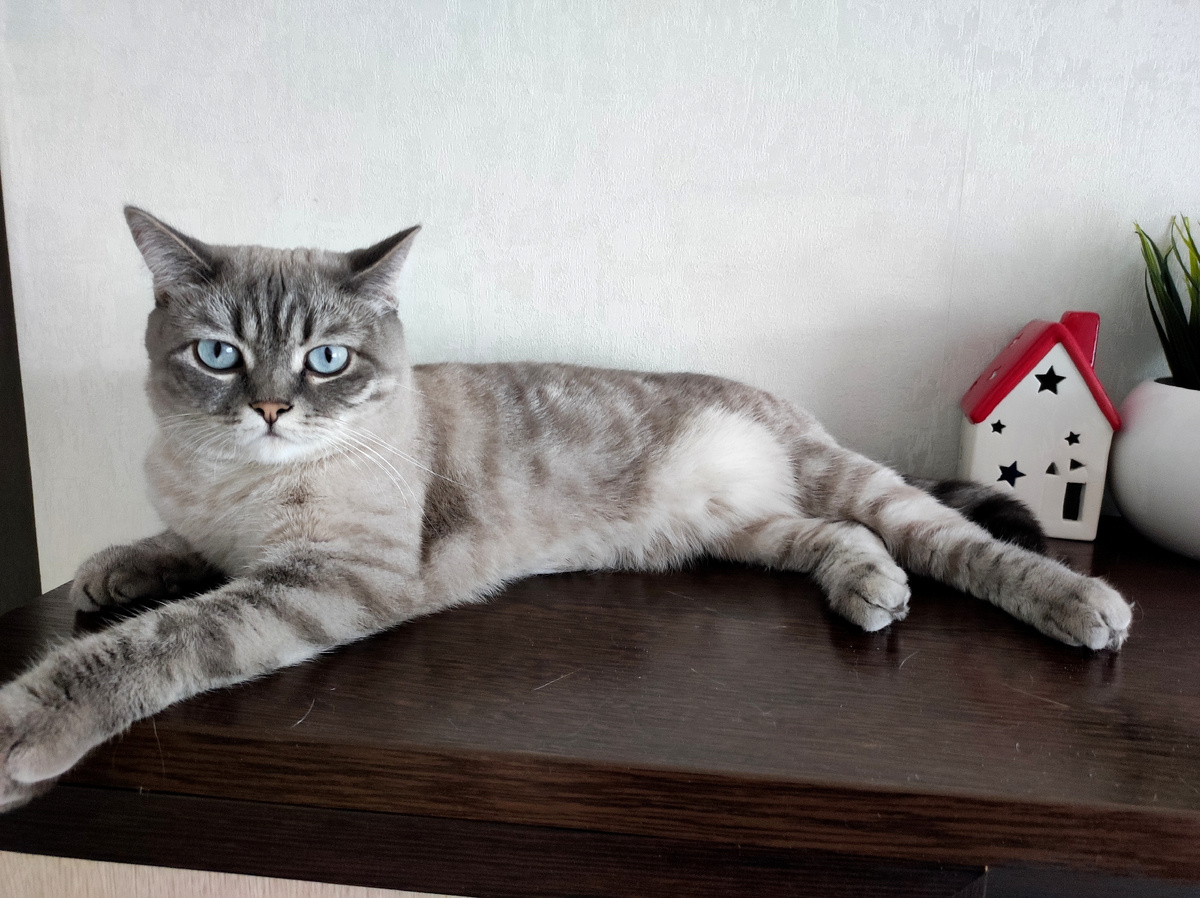 Царица  Софья Васильевна 😀😻