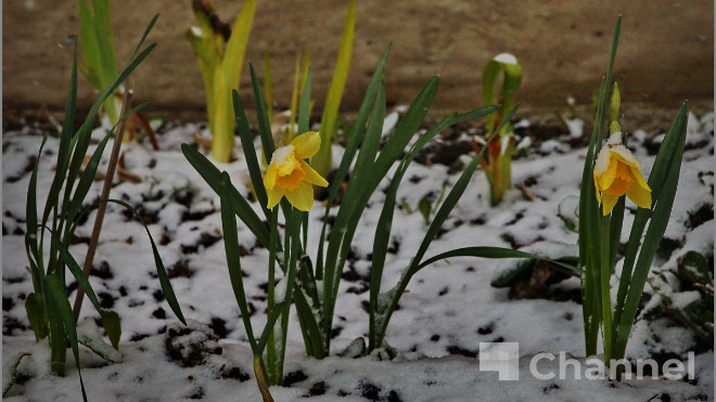 Прогноз погоды в Ленобласти на 26 апреля: покажется, что вернулся ноябрь