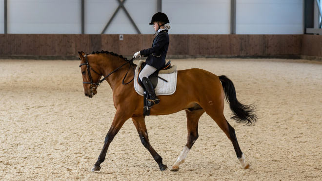 Всероссийские соревнования по выездке начались в Ленинградской области
