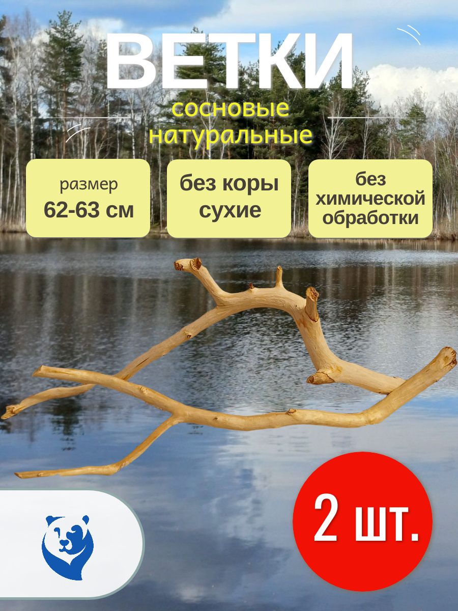 Сосновые ветки без коры: кусочек леса у вас дома