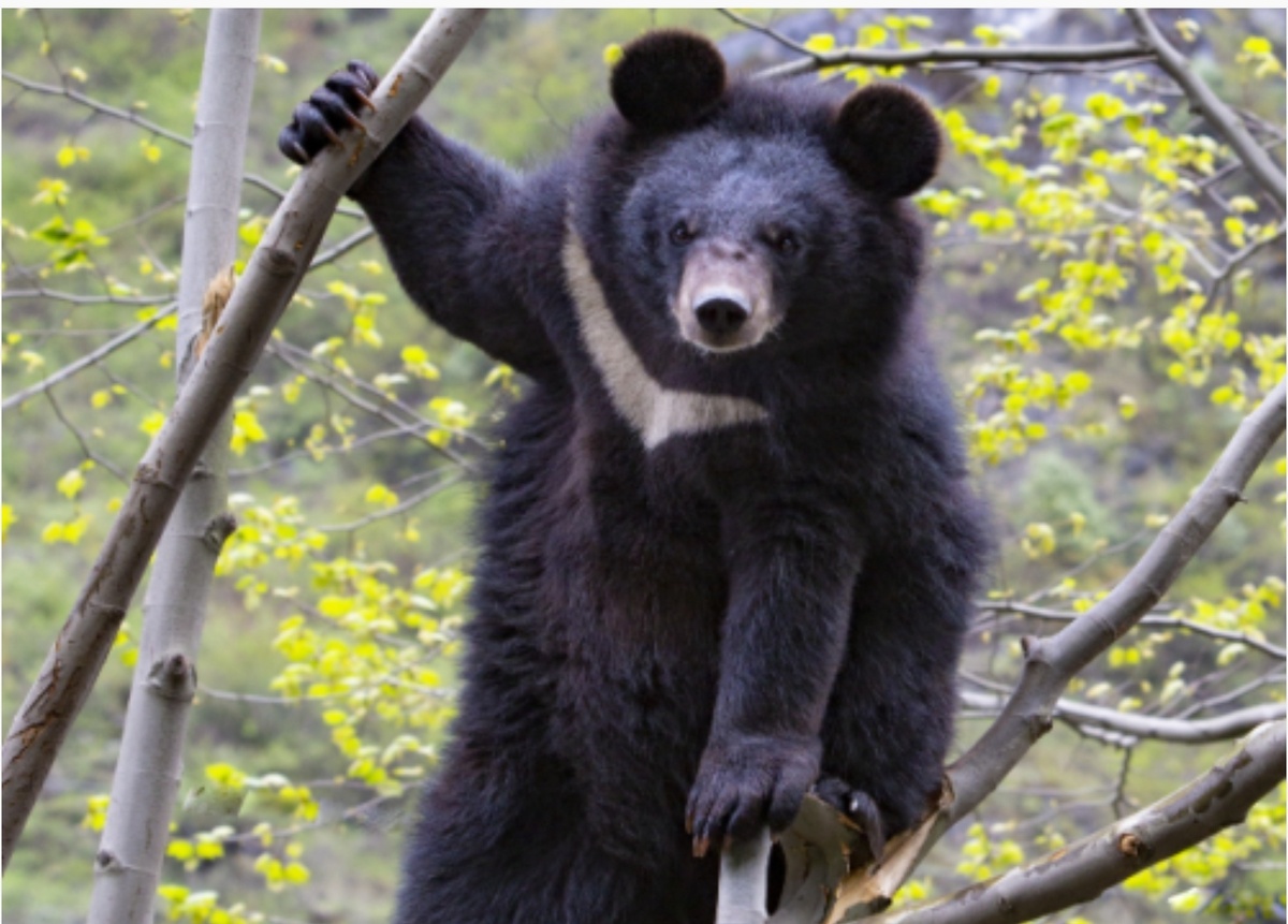 Фото из интернета 