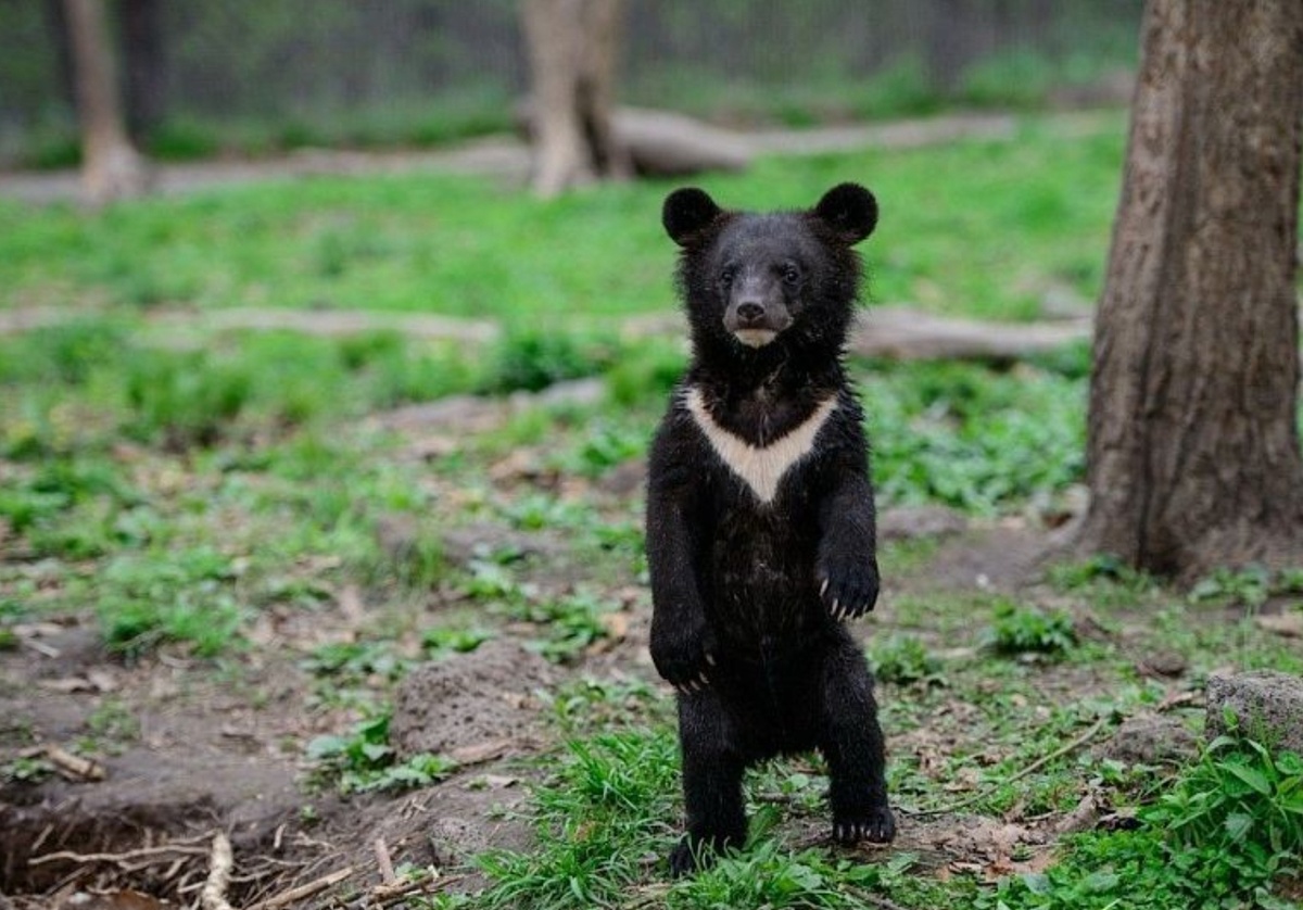 Фото из интернета 