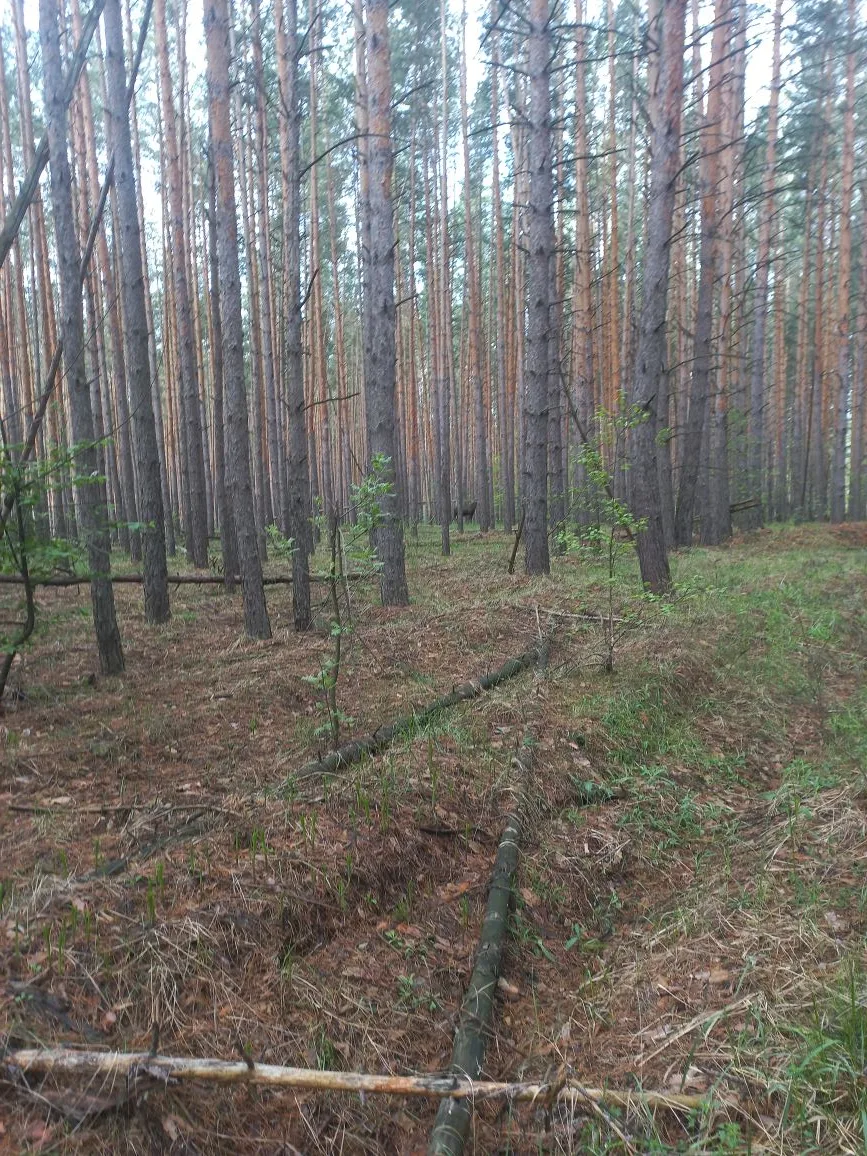 Фото Ирины Ильиной
