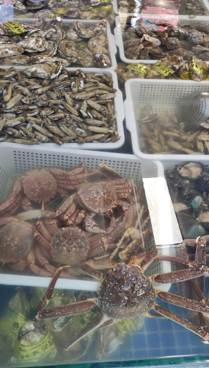 Ни один морской житель мной из аквариума не был съеден!