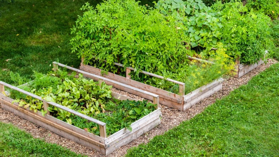 Апрель в огороде — самый горячий месяц. Главное — не торопиться и знать, кого сеять первым