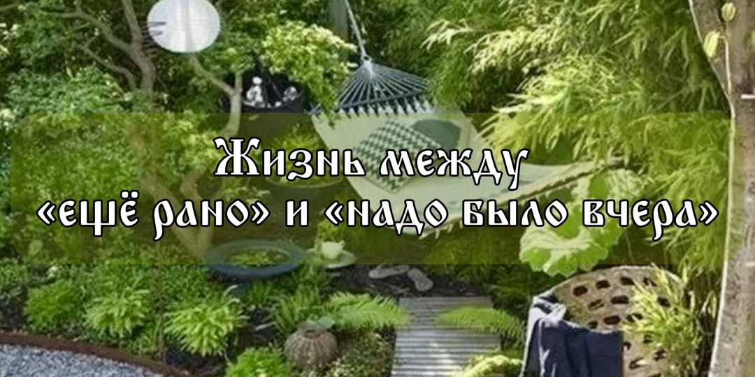 Весна вроде пришла… но в Питере снова зима