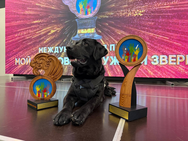 Спасатели Беларуси и пес Дарк стали лауреатами "Лохматого Оскара"