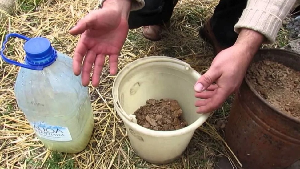 Три компонента болтушки — глина, коровяк и гашёная известь. Всё по 1 кг на замес