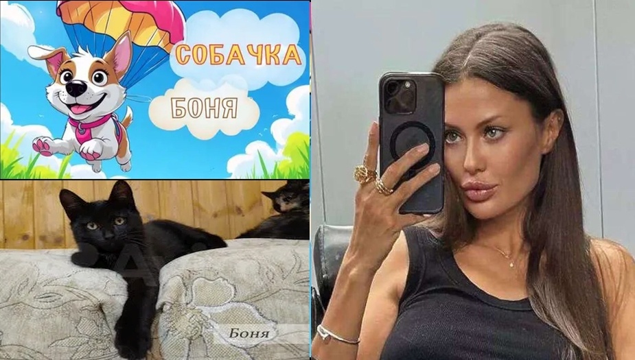Коллаж автора. Фото из архива "7 секретов"