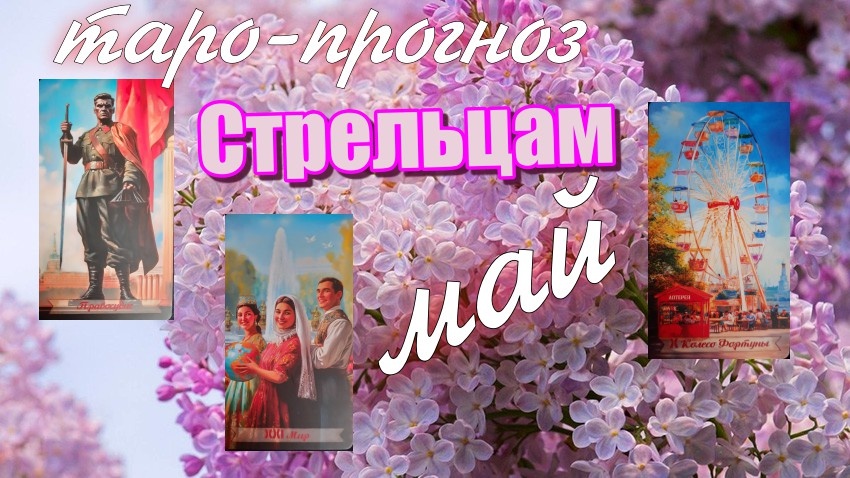 коллаж ЕлВита