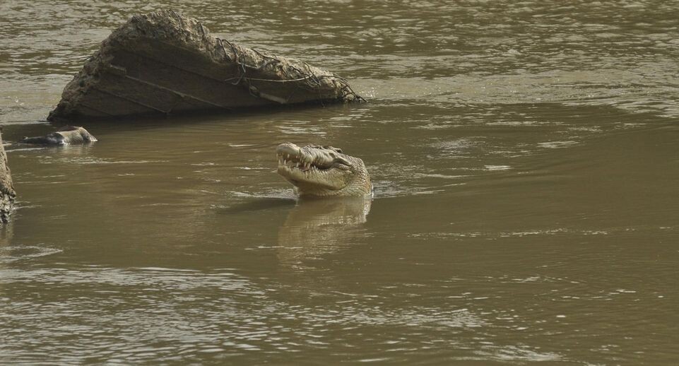    ANCHA via www.imago-images.de / www.globallookpress.com