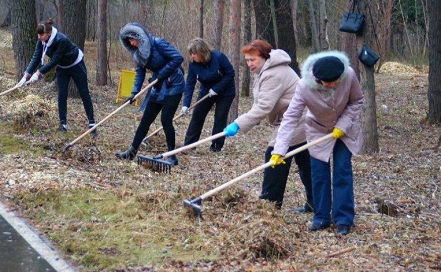 Всероссийский субботник: день, который объединил миллионные города и деревни