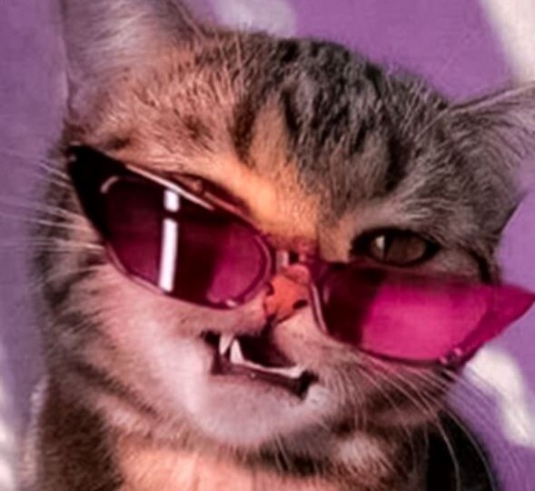 В розовых очках на розовом пони