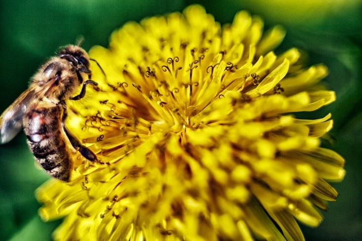 Народные приметы на 26 апреля: как привлечь удачу в  Фомаидин день