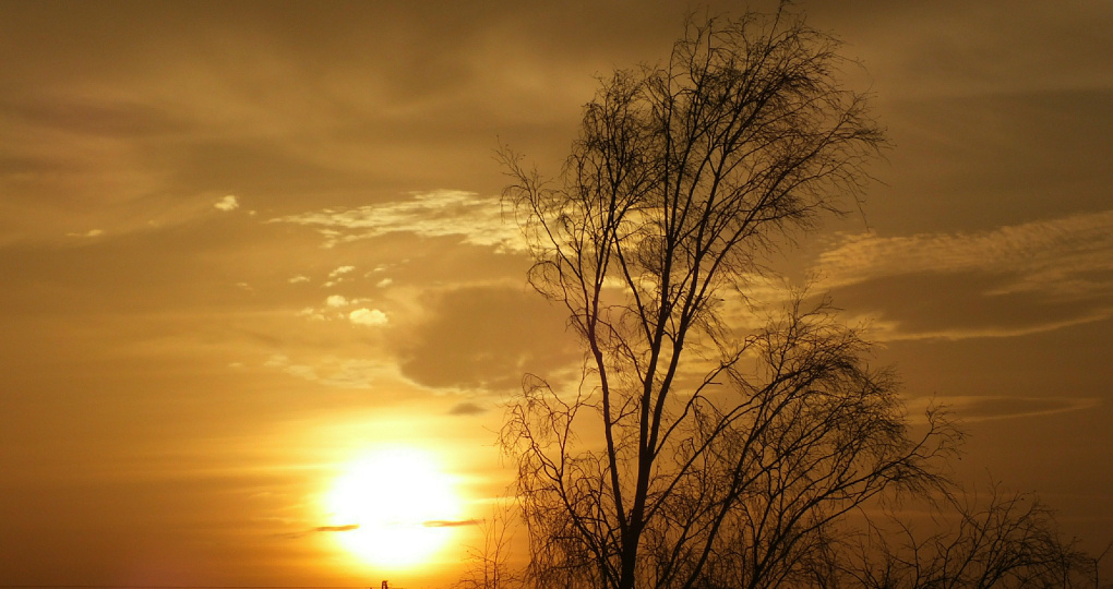 Две мощные вспышки произошли на Солнце