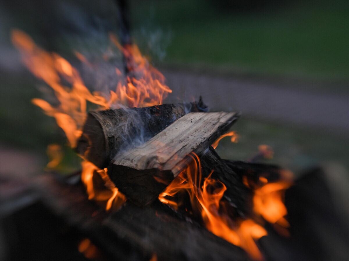    Горящие дрова в мангале на участке в коттеджном посёлке | © РИА Новости / Владимир Песня