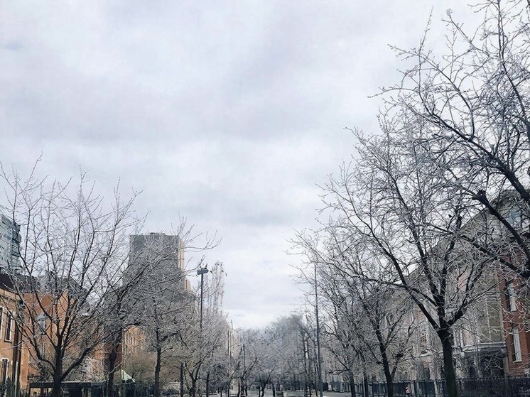     Фото сгенерировано ИИ