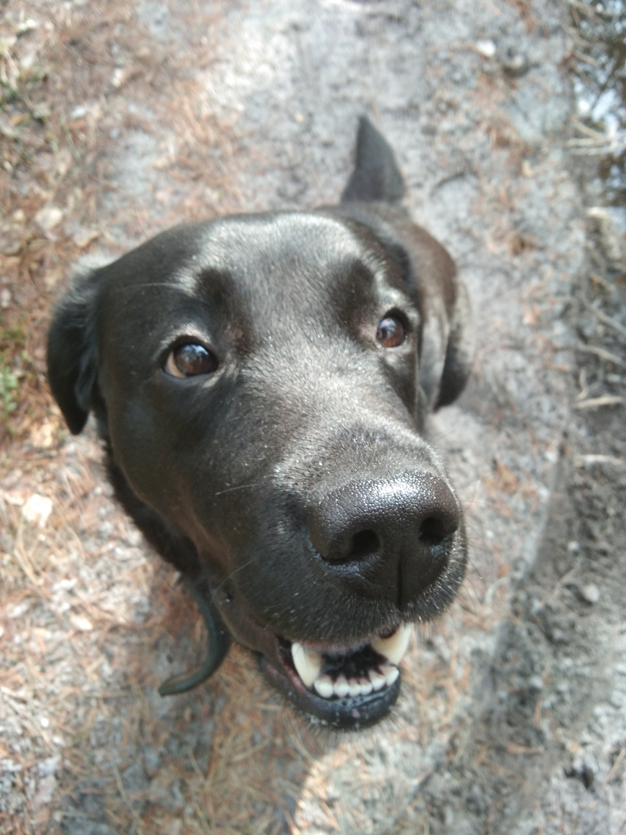 Фото автора. 