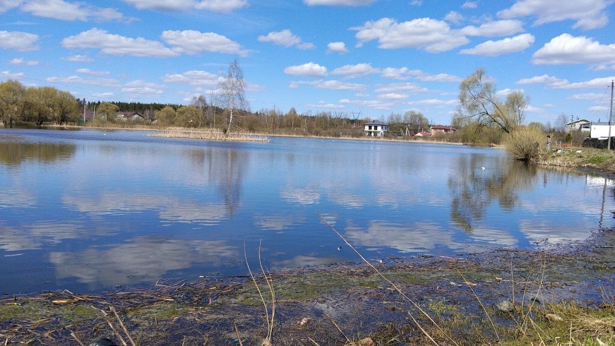 Фото автора. На нашем пруду