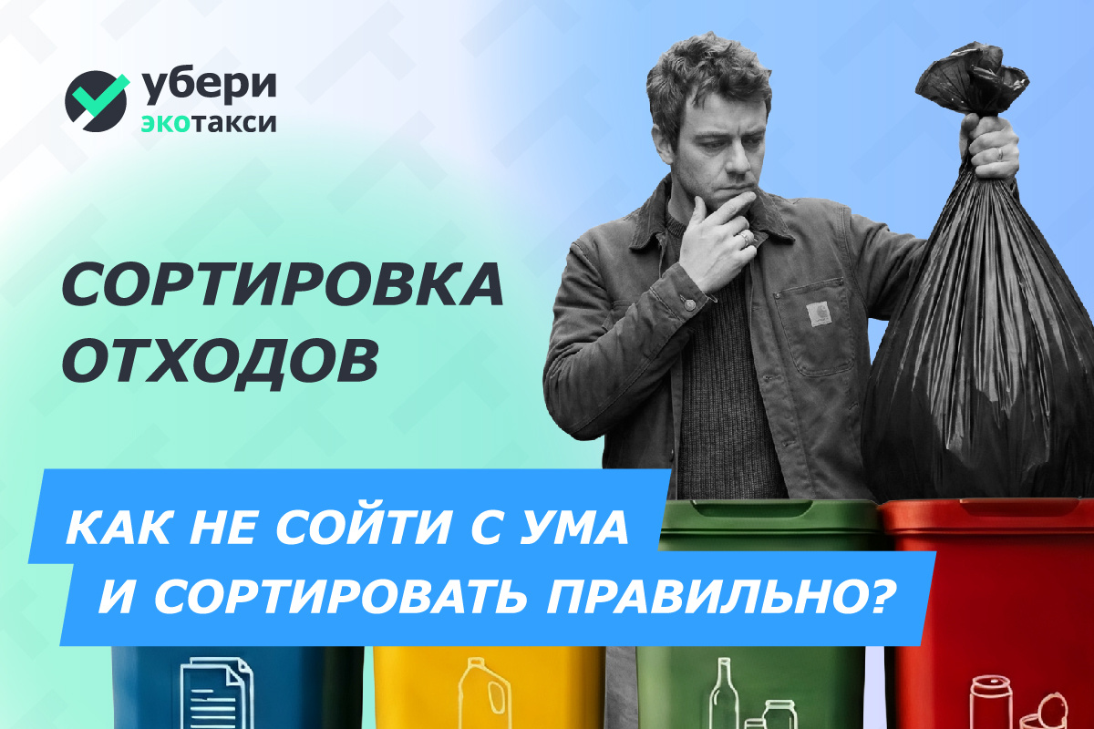 ♻️ Сортировка отходов: подробное руководство для тех, кто хочет делать это правильно