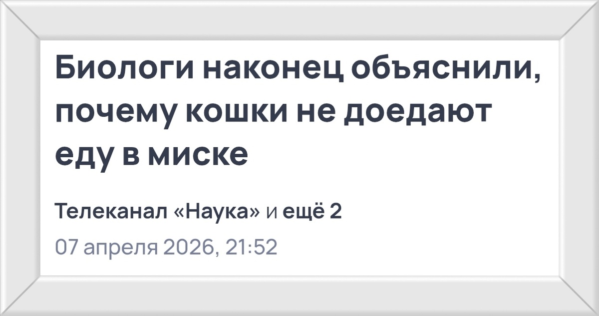 Скриншот экрана в авторской обработке.