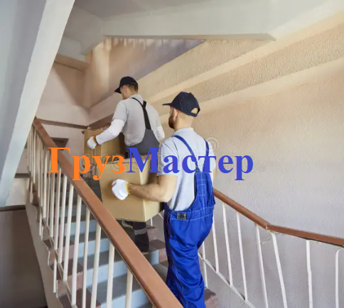 Грузчики в Гомеле