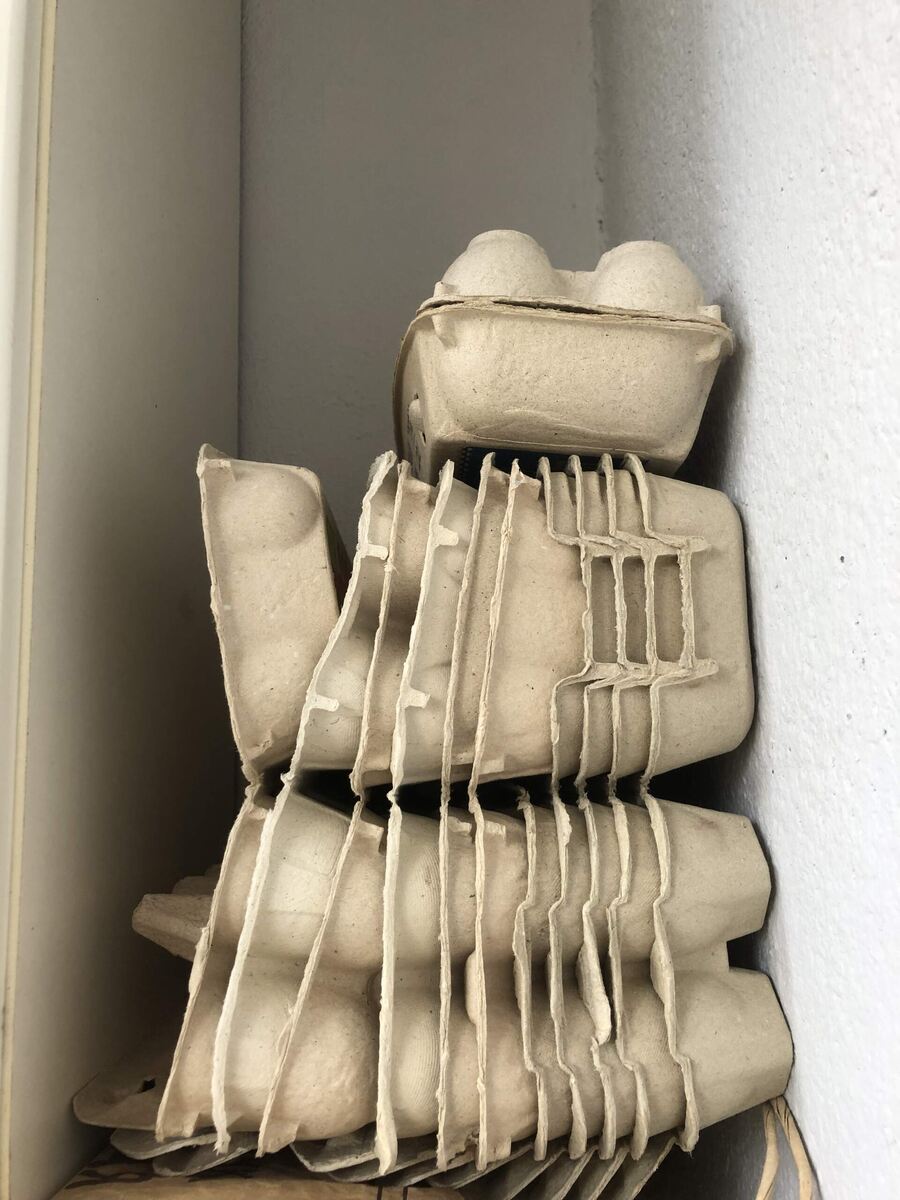 Фото автора статьи.