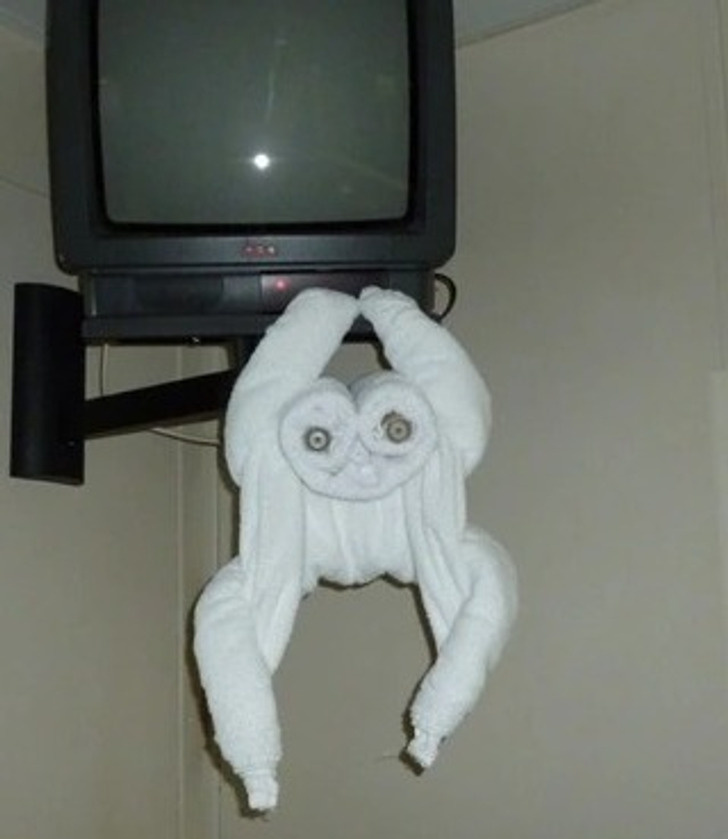 © Руконожка Ай-Ай / ADME