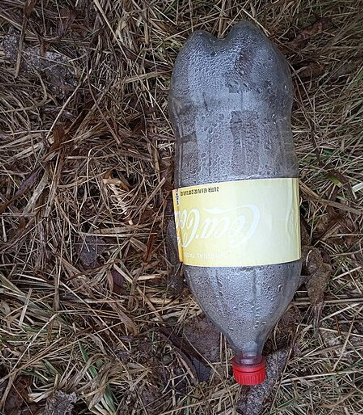 © Visviva / Wikimedia Commons