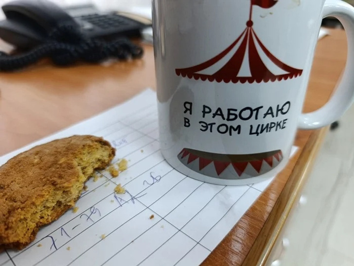 © interforest / Pikabu