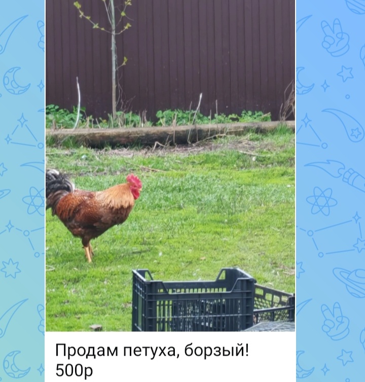 Скриншот.