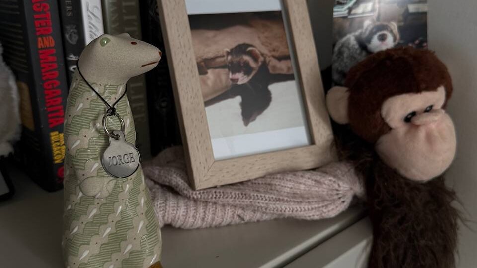 Иллюзия присутствия