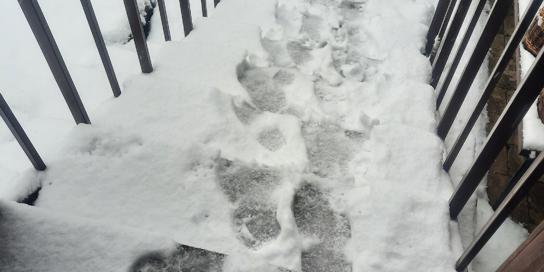 Мы тонем! Спасите нас на суше. Снег, снежок...