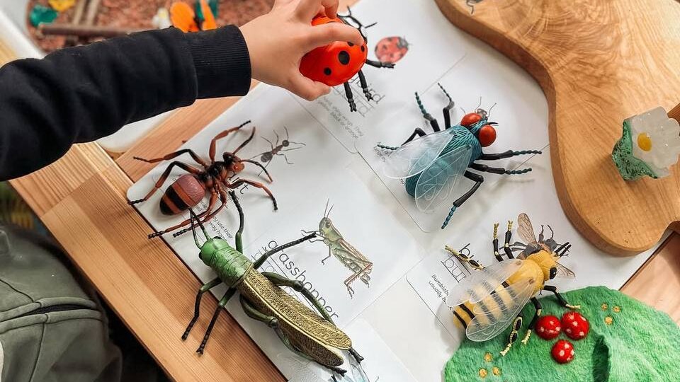 🐛 Как за 5 минут превратить изучение насекомых в любимую игру