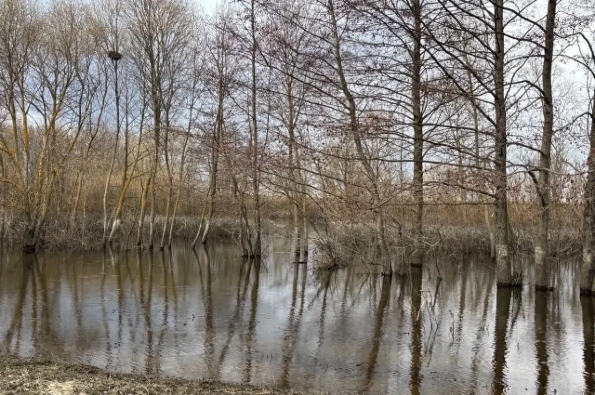    В Новосибирске оперативно устраняют последствия весеннего паводка