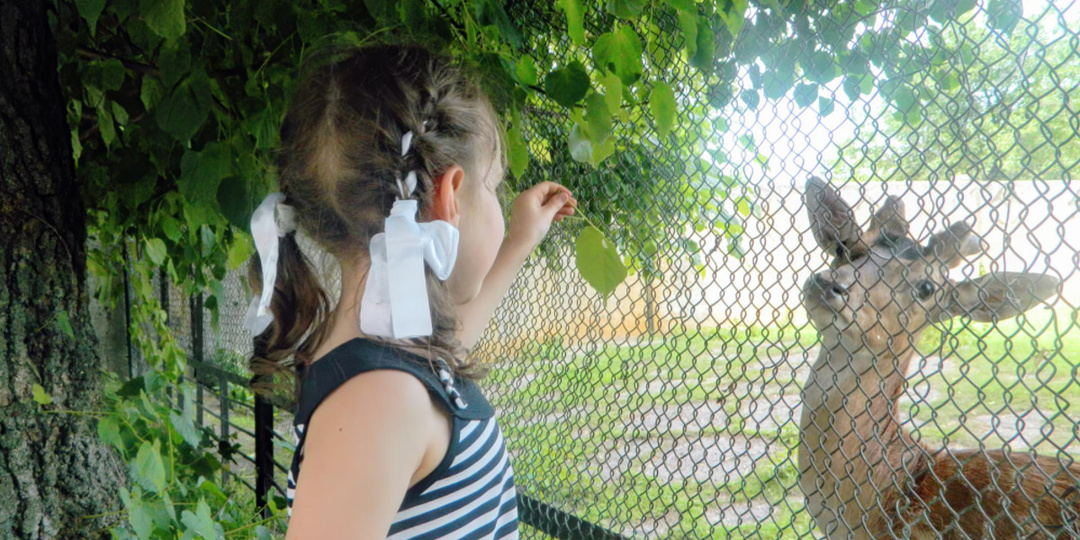 В Омском зоопарке неожиданно подняли цены на билеты