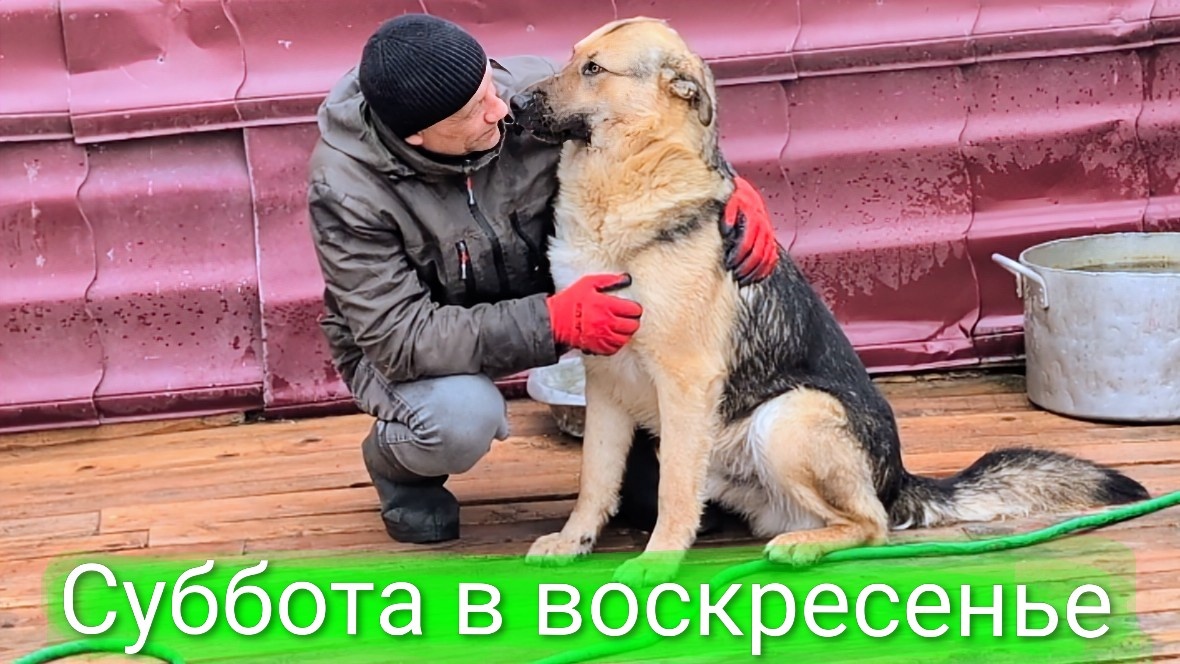 Олег и Русик 