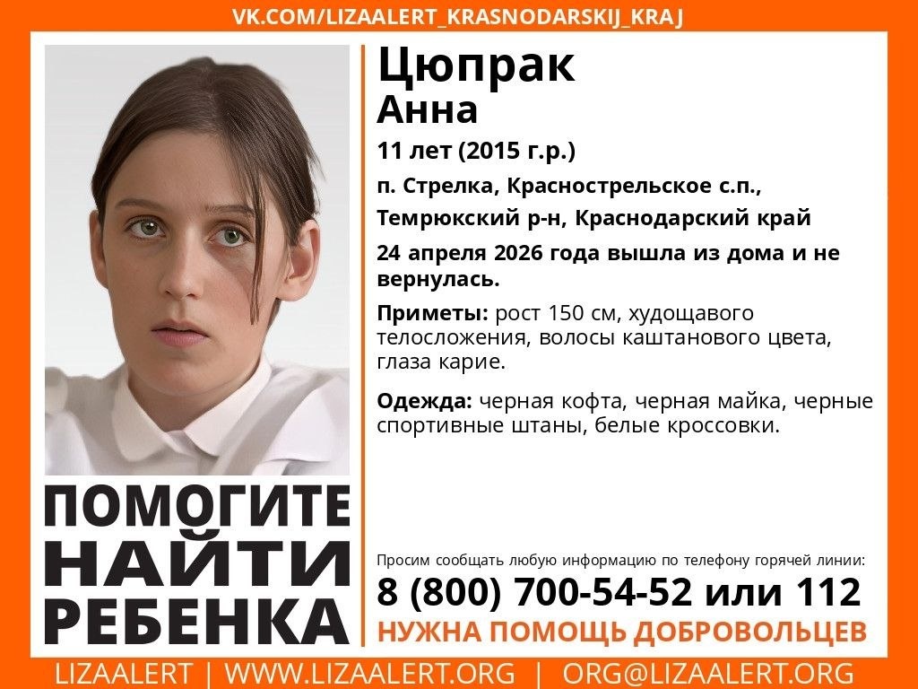    Фото: ориентировка "Лиза Алерт"