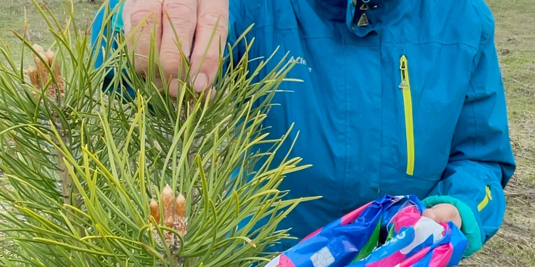 🐝 Как мы лечим пчёл на пасеке («Кас 81»)