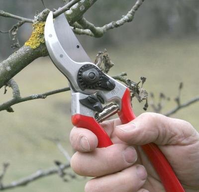✂️🌿 КАК ЗАТОЧИТЬ СЕКАТОР: ЧЁТКИЙ РЕЗ БЕЗ УСИЛИЙ
