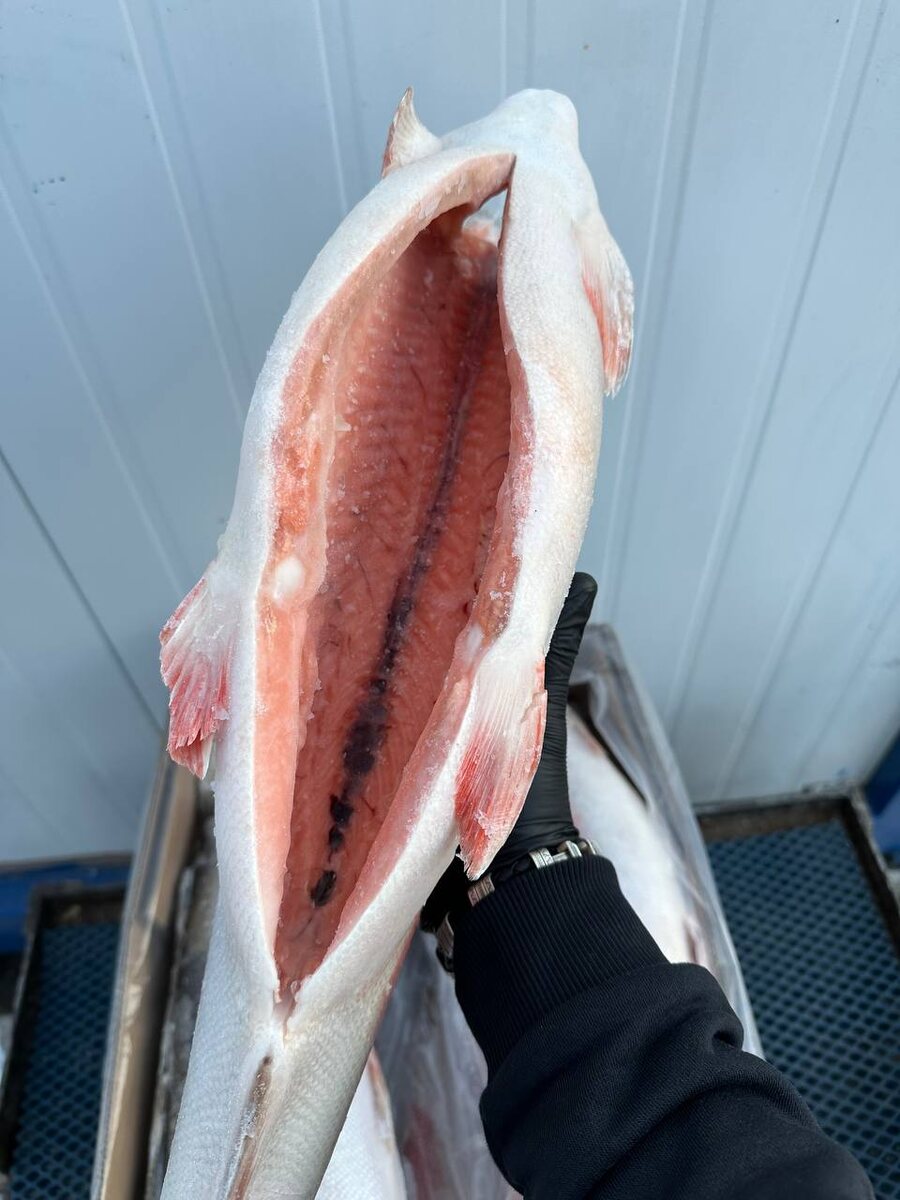 На фото: продукция компании «Фиш Маркет - Рыбный склад»