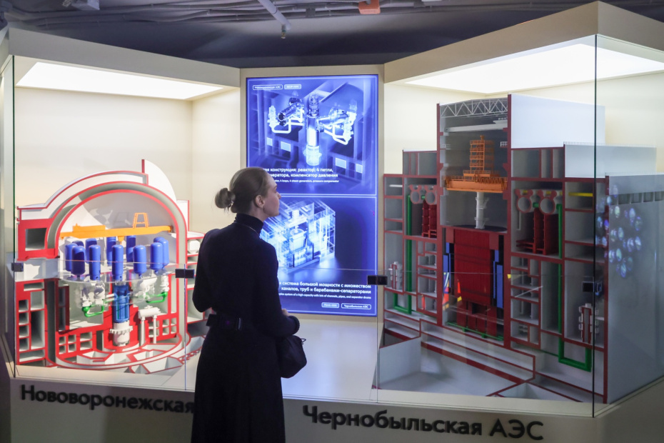    Наталья Шатохина/NEWS.ru