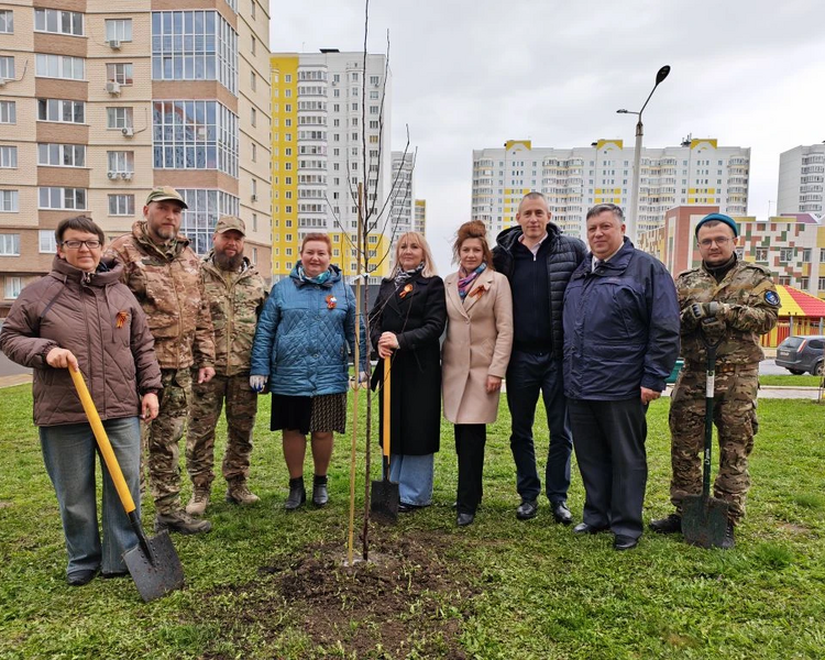     В Курске на Дериглазова высадили «Аллею Победы» в годовщину освобождения региона