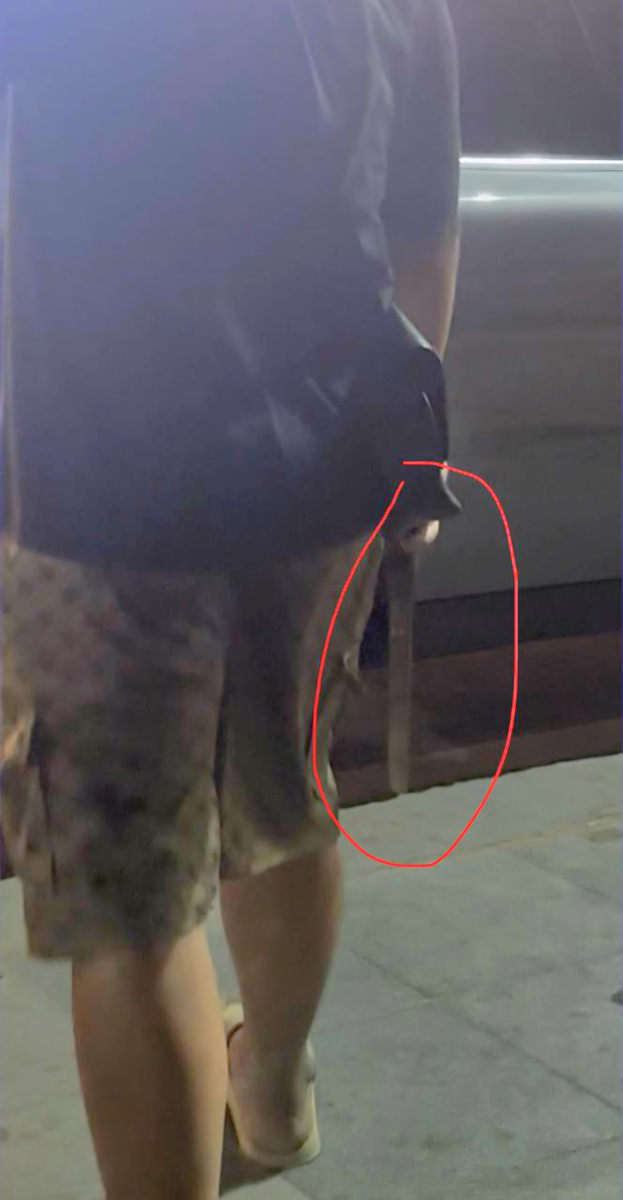 Это не нож,  а тесак какой-то! 