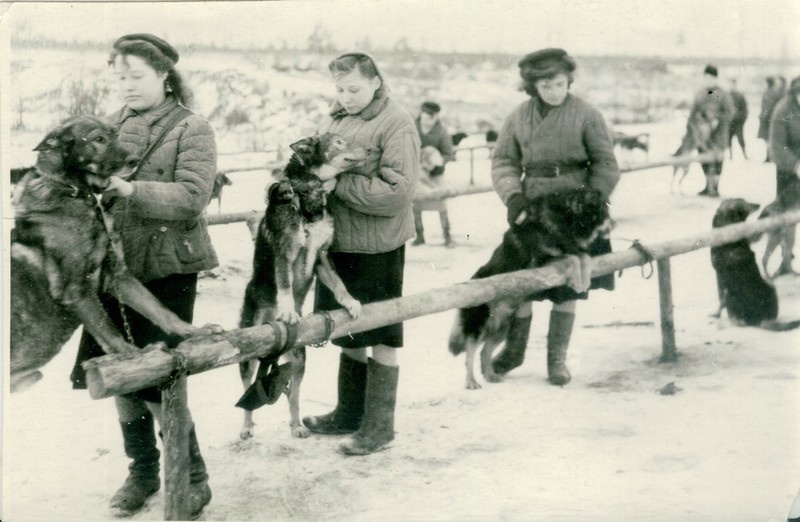https://vet.lenobl.ru/ru/news/57031/
